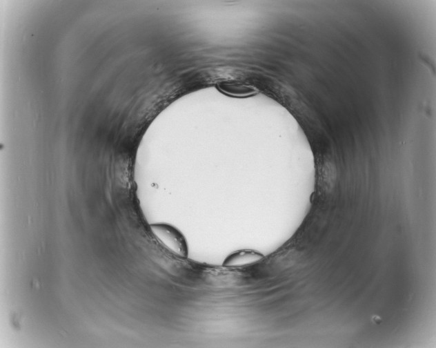 X0000101670331200807311503