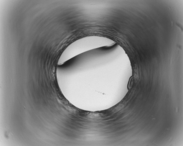 X0000101670332200807311502