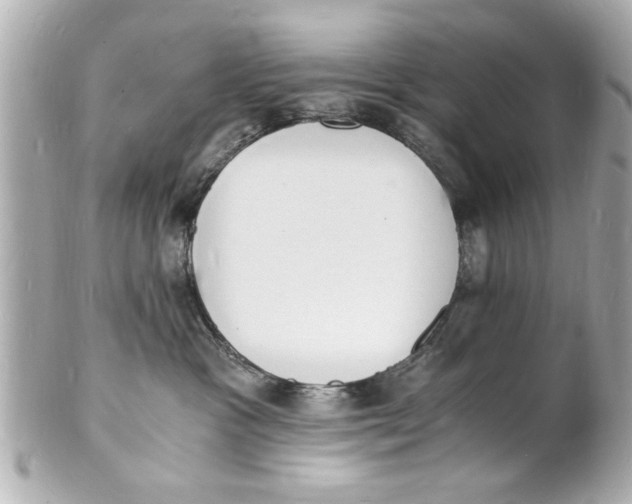 X0000101670333200807311502