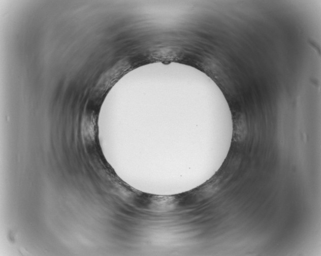 X0000101670334200807311502