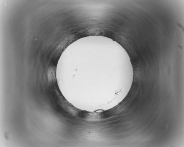 X0000101670335200807311502