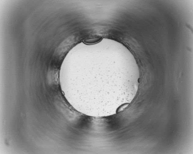 X0000101670336200807311502