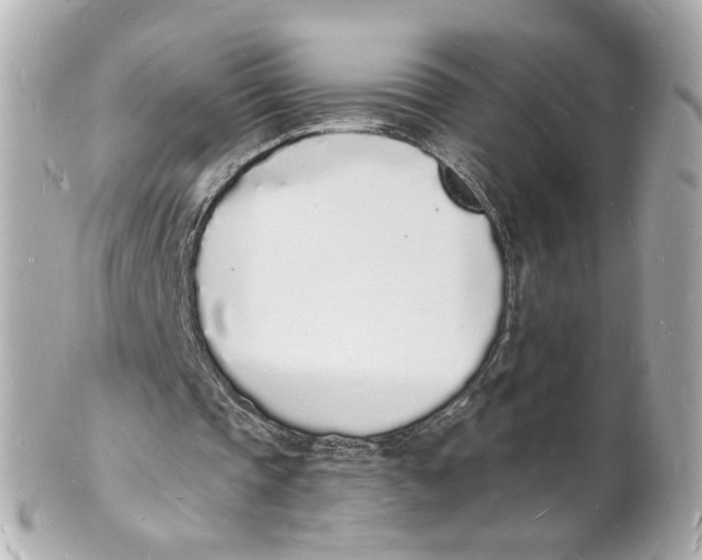 X0000101670337200807311502