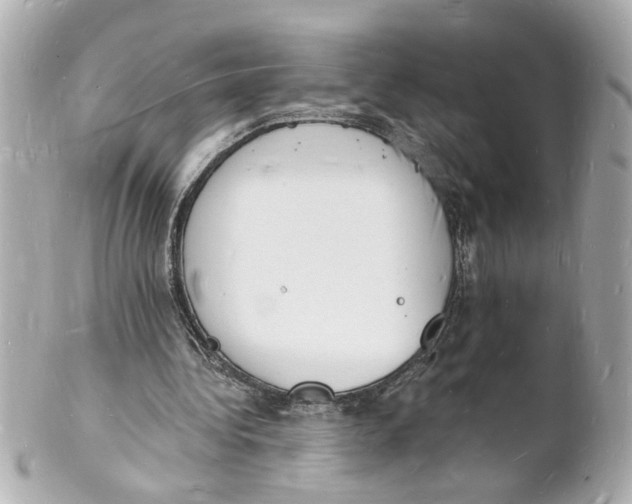 X0000101670340200807311502