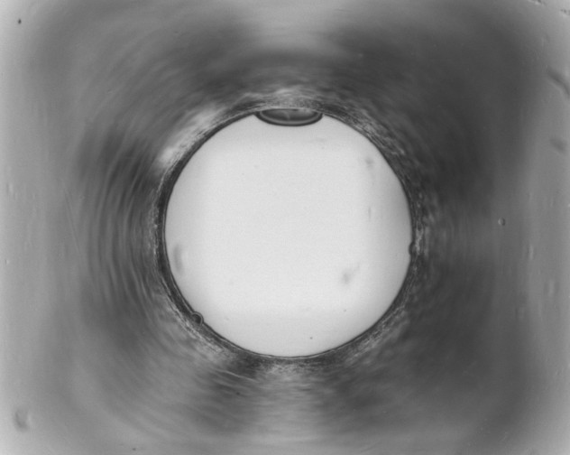 X0000101670341200807311502