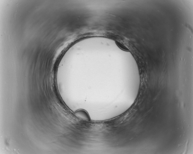 X0000101670342200807311502