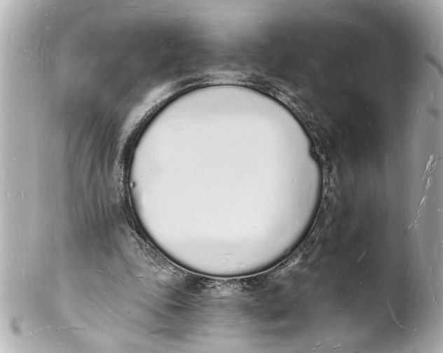 X0000101670343200807311502
