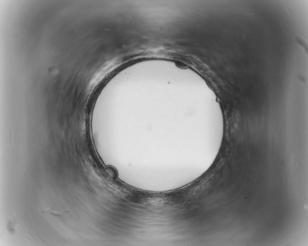 X0000101670344200807311502