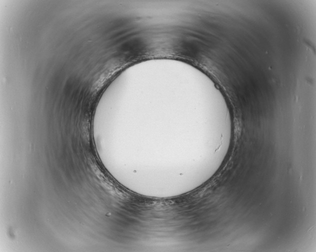 X0000101670345200807311502