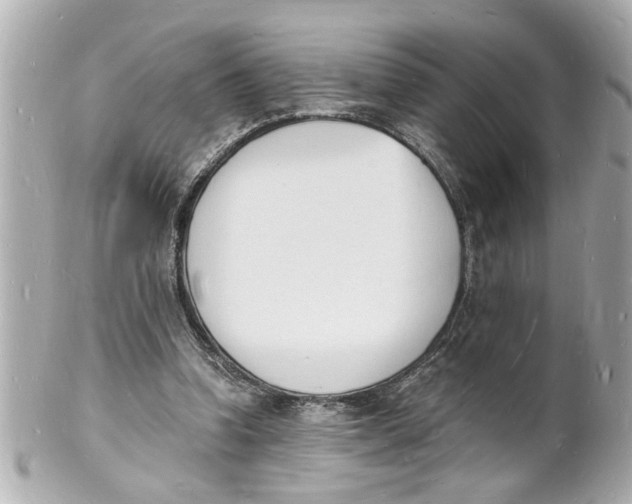 X0000101670346200807311502