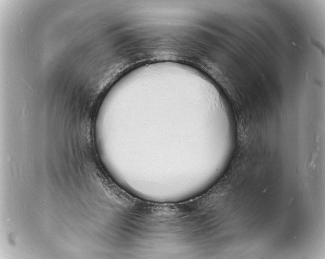 X0000101670347200807311502