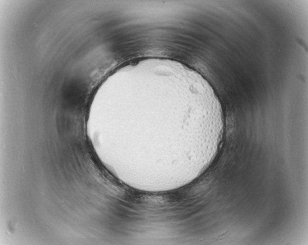 X0000101670349200807311502