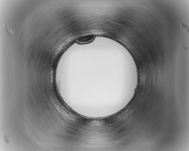 X0000101670350200807311502