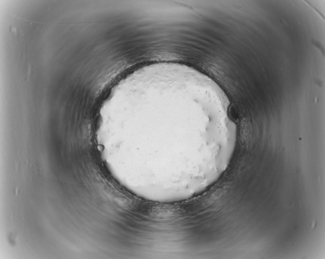 X0000101670351200807311502