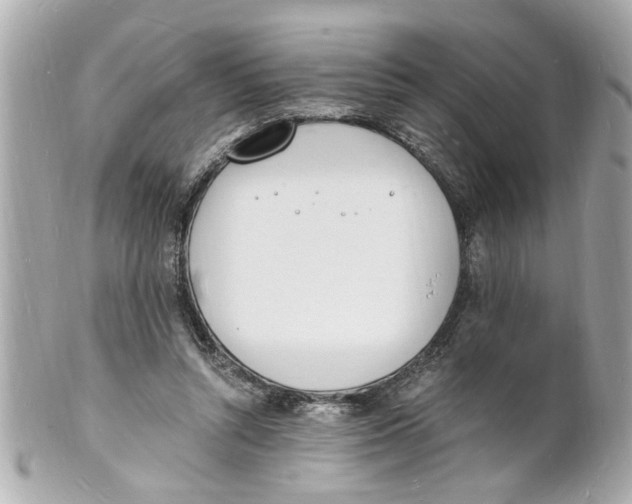 X0000101670352200807311502