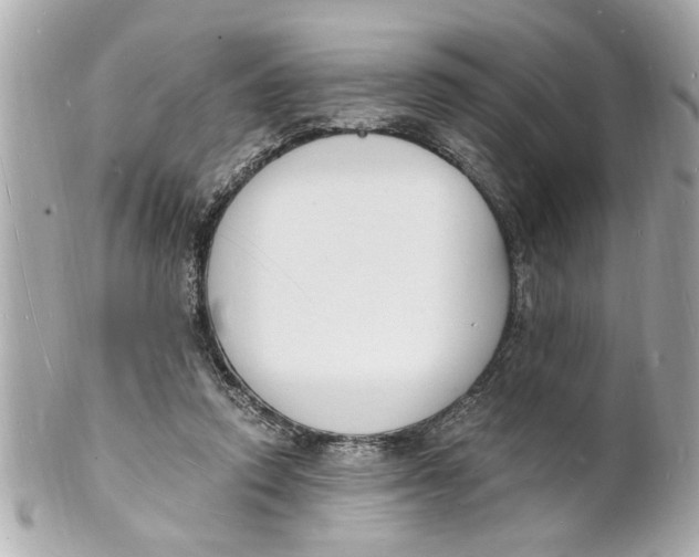 X0000101670354200807311502