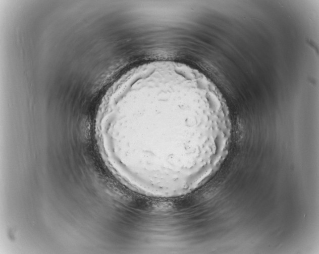X0000101670355200807311502