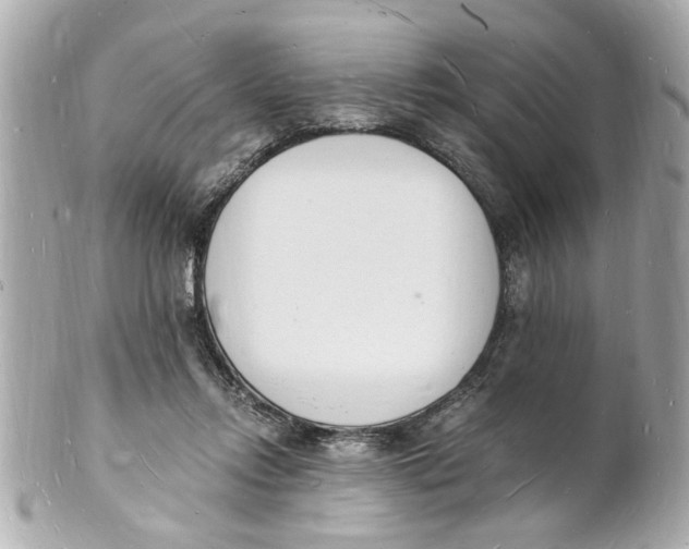 X0000101670358200807311502