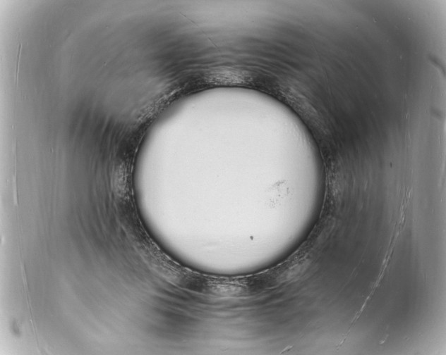 X0000101670359200807311502