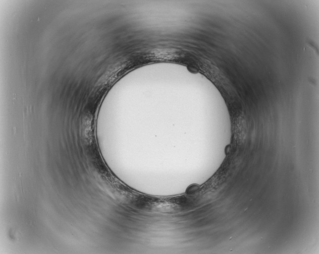 X0000101670360200807311502