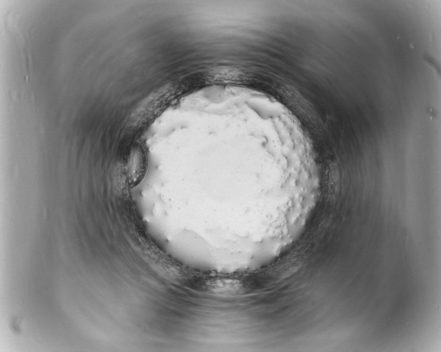 X0000101670361200807311502