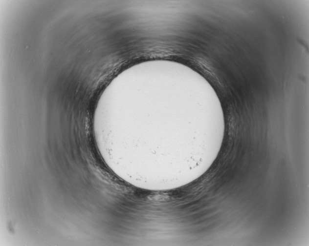 X0000101670362200807311502