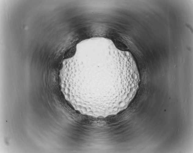 X0000101670363200807311502
