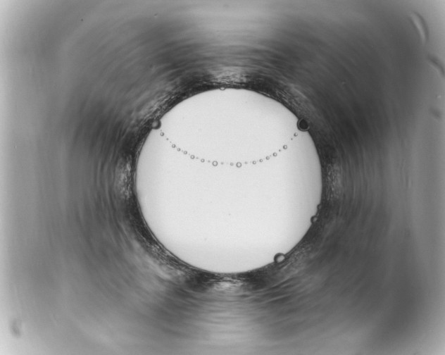 X0000101670364200807311502
