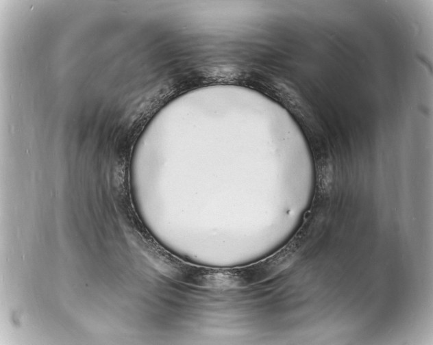 X0000101670365200807311502