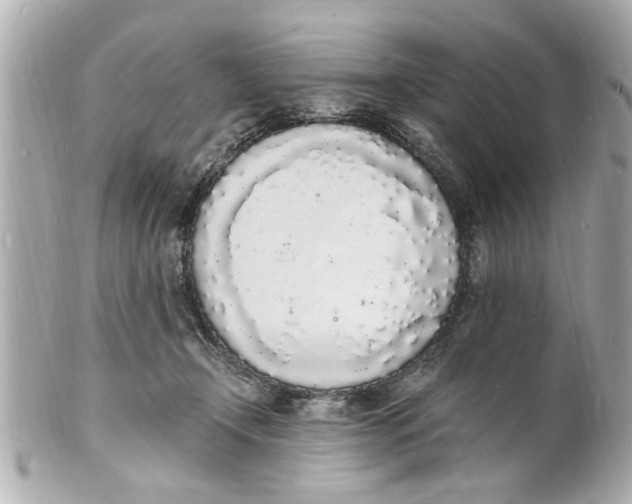 X0000101670366200807311502