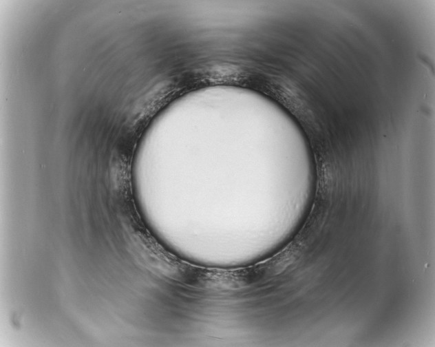 X0000101670367200807311502