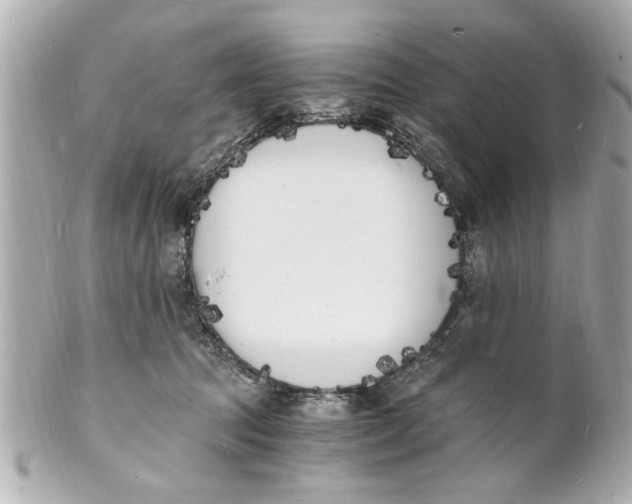 X0000101670369200807311502