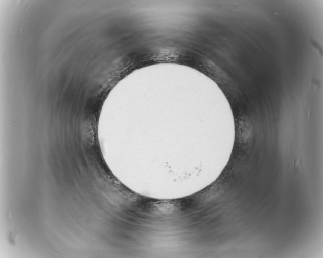 X0000101670370200807311502