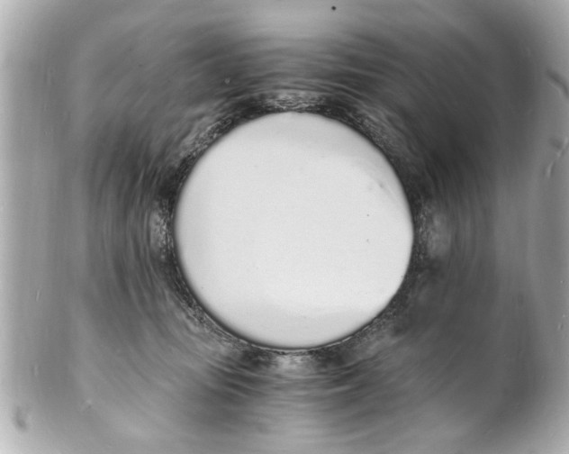 X0000101670371200807311502