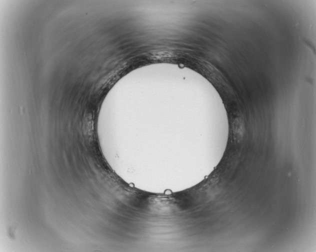 X0000101670372200807311502