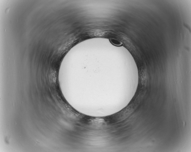 X0000101670374200807311502
