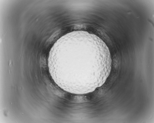 X0000101670375200807311502