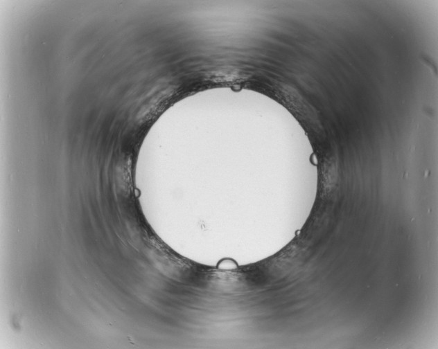 X0000101670376200807311502