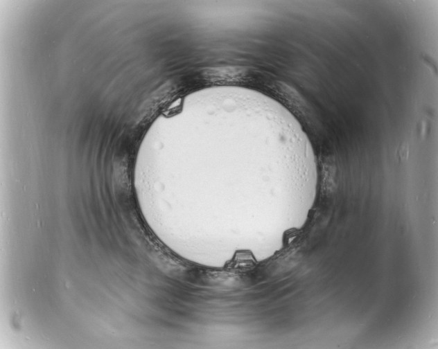 X0000101670377200807311502