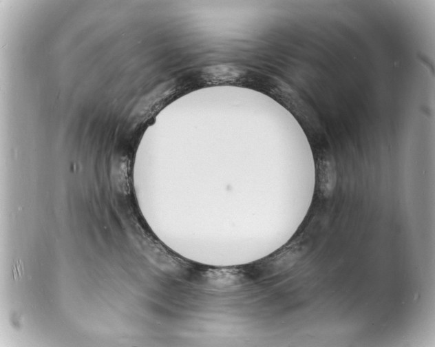 X0000101670378200807311502