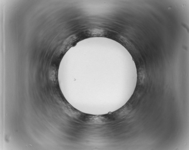X0000101670379200807311502