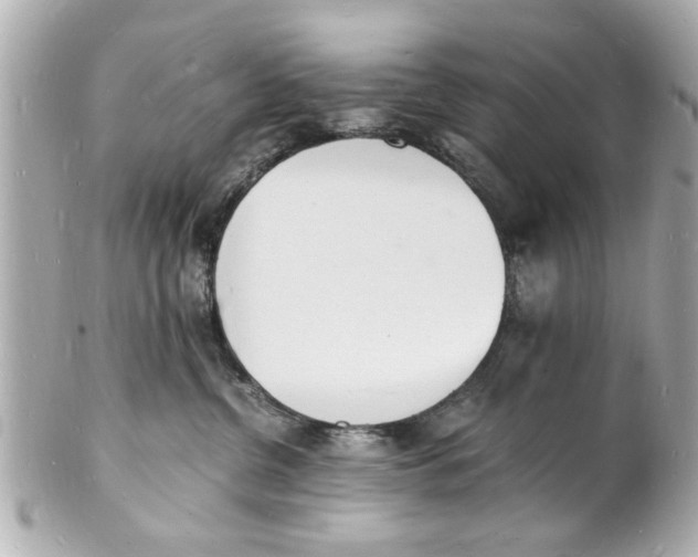 X0000101670380200807311502