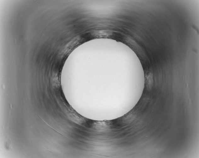 X0000101670381200807311502