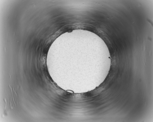 X0000101670382200807311502