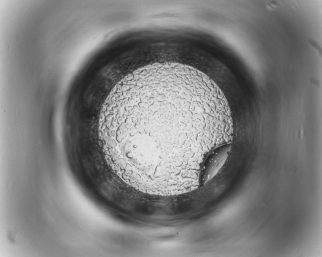 X0000101670383200807311502