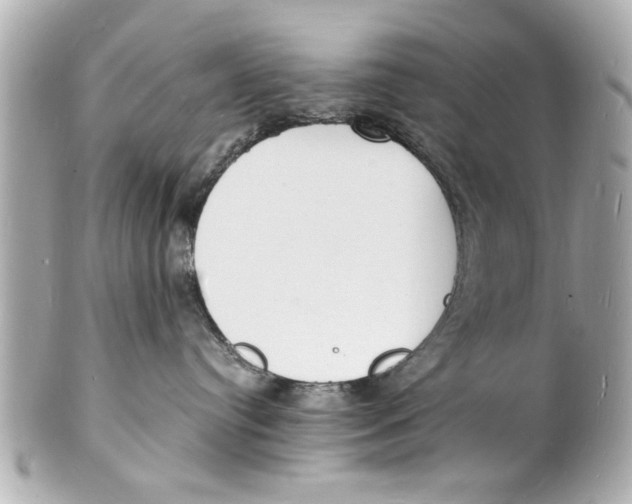 X0000101670384200807311502