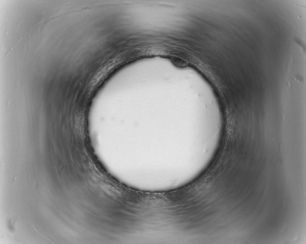 X0000101670386200807311502