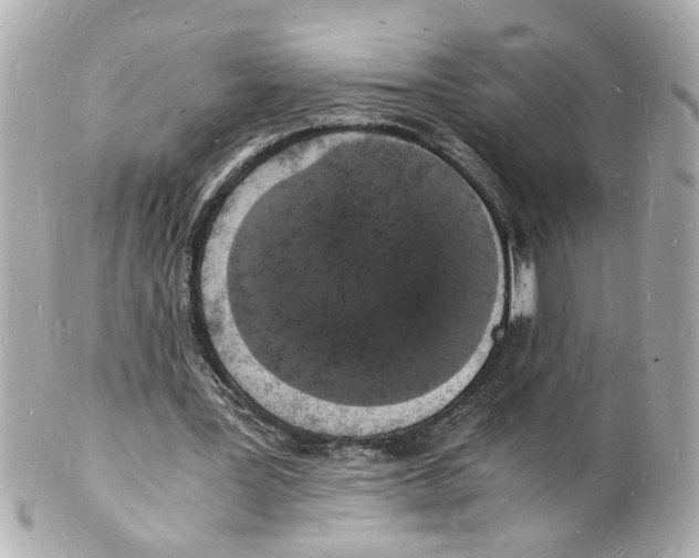 X0000101670387200807311502