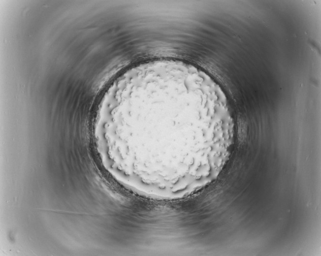 X0000101670390200807311502