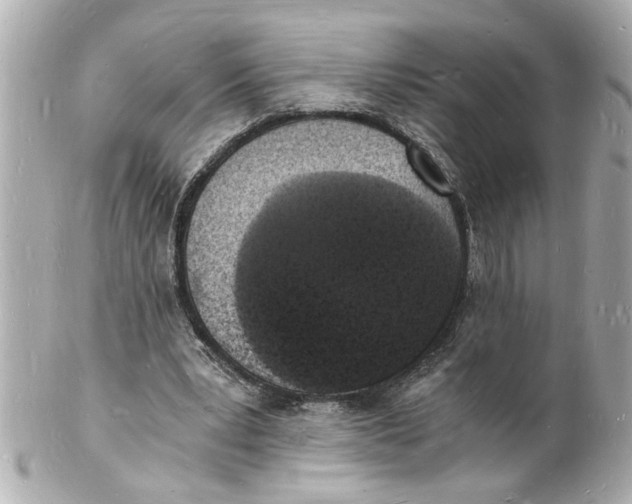 X0000101670391200807311502